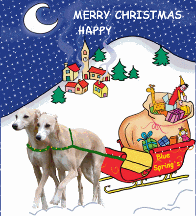 Noel2012a