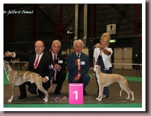 SighthoundSpecialty2011BOBPICTURE