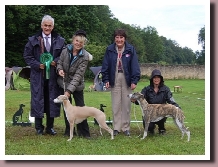 WHIPPETSPECIALTYMECHERNICH2