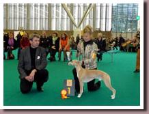 WinnerAmsterdam08BOBsm