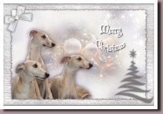 xmas2011